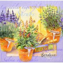 Serwetka decoupage firmy AMBIENTE zioła w donicach 33x33cm